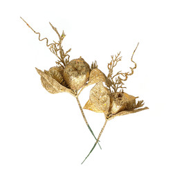 Similar image 22531641