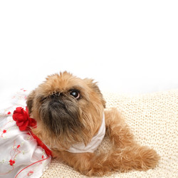 Similar image 22531689