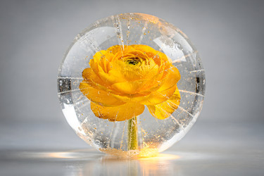 Similar image 22528924