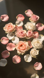 Similar image 22528926