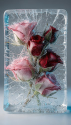 Similar image 22528927