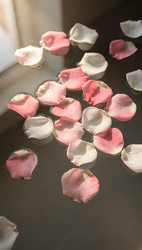 Similar image 22528933