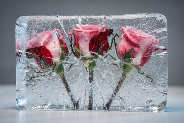 Similar image 22528940