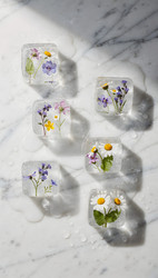 Similar image 22528948