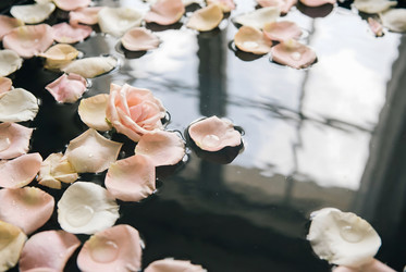 Similar image 22528950