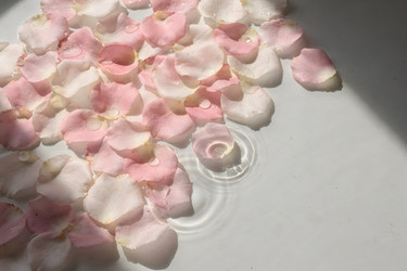 Similar image 22528952