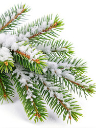 Similar image 22538494