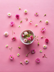 Similar image 22537653