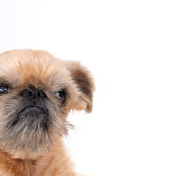 Similar image 22530294