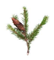 Similar image 22530361