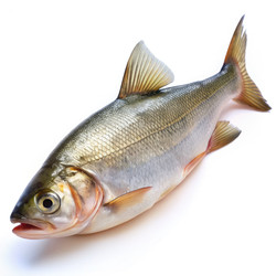 Similar image 22538013