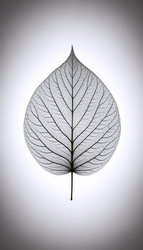 Similar image 22545231