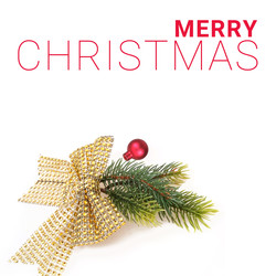 Similar image 22532457