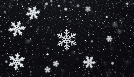 Similar image 22558569