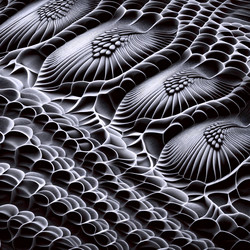 Similar image 22541018