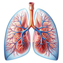 Similar image 22538286