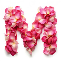 Similar image 22537640