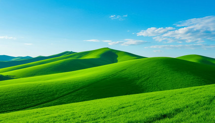 Similar image 22557642