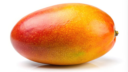 Similar image 22534111