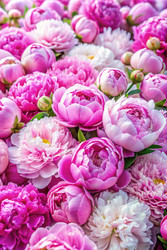 Similar image 22534402