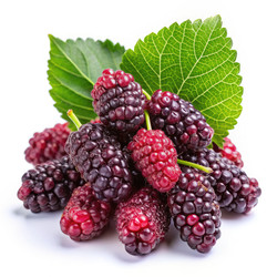 Similar image 22534161