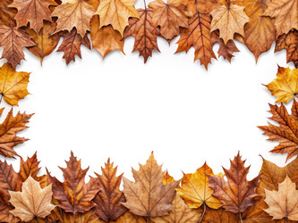 Similar image 22534533