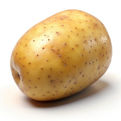 Similar image 22533390