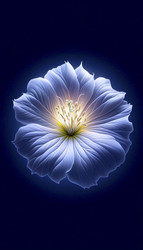 Similar image 22542396