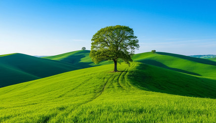 Similar image 22557959