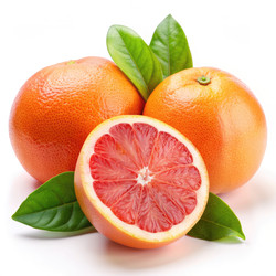 Similar image 22534458