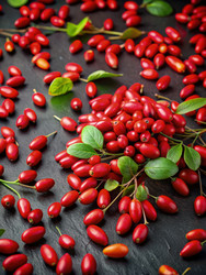 Similar image 22533398