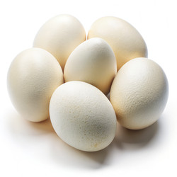 Similar image 22534067