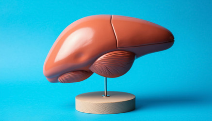 Similar image 22558050