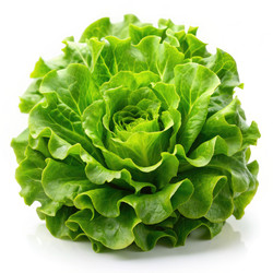 Similar image 22533750