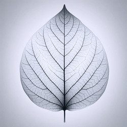 Similar image 22545144