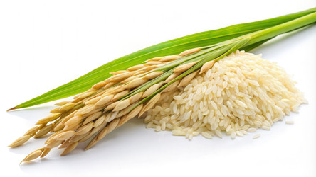 Similar image 22534462