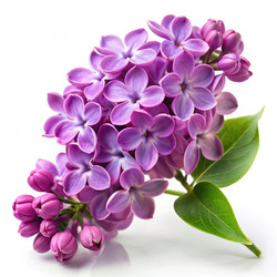 Similar image 22534474