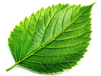 Similar image 22534490