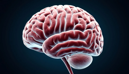 Similar image 22558424