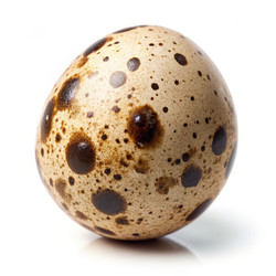 Similar image 22533606