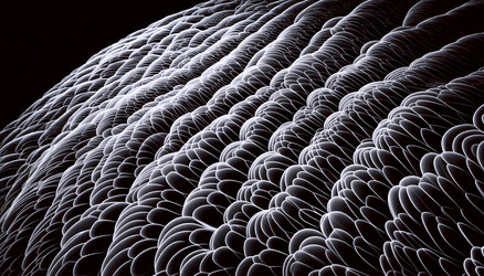 Similar image 22540461