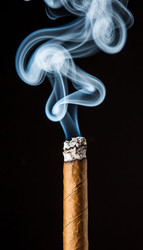 Similar image 22557509