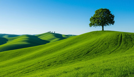 Similar image 22557599