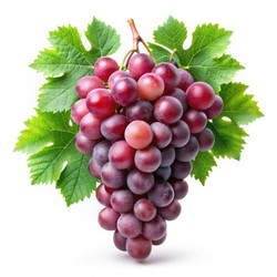 Similar image 22534122