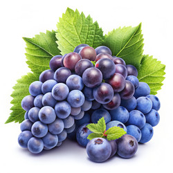 Similar image 22534477