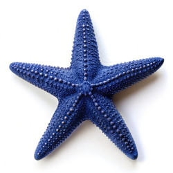 Similar image 22534521