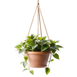 Similar image 22538793