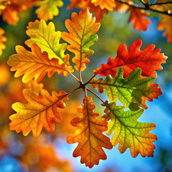 Similar image 22538794