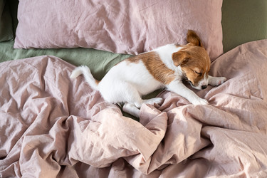 Similar image 22535320