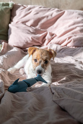 Similar image 22535336